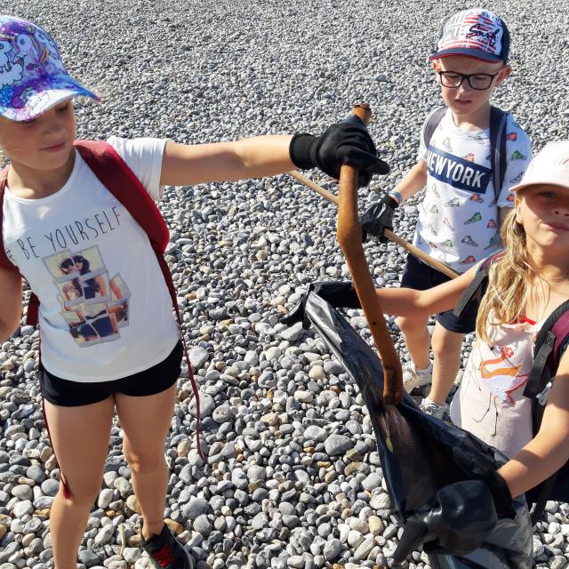 Récupération De Bois Flotté