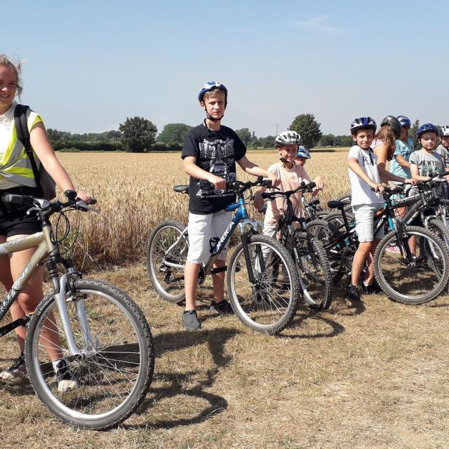 Vtt